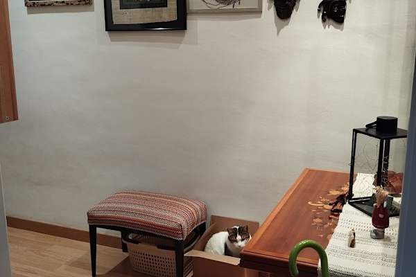 House sit in Barcelona, Spain