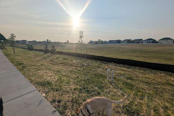 House sit in Aurora, CO, US