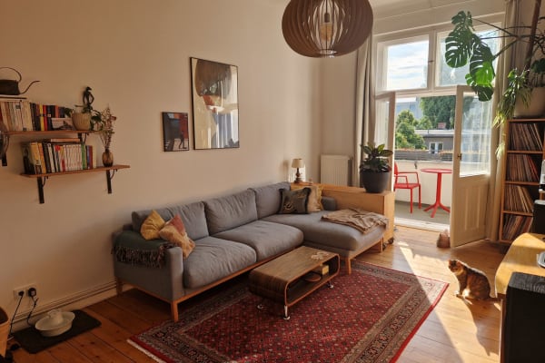 House sit in Berlin, Germany