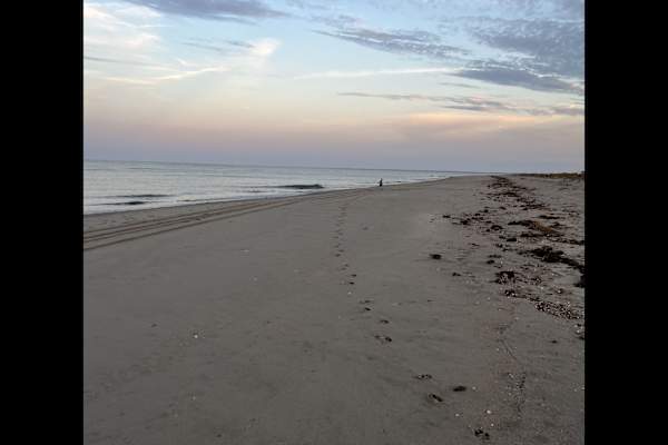 House sit in Milton, DE, US