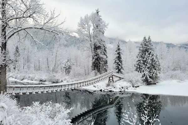 House sit in Sicamous, BC, Canada