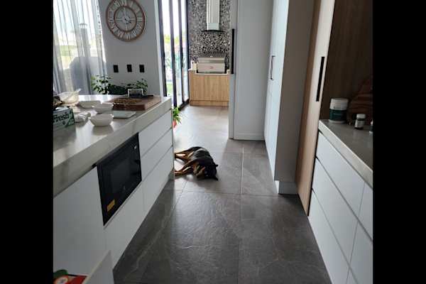 House sit in Brisbane, QLD, Australia