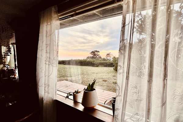 House sit in Newport, OR, US