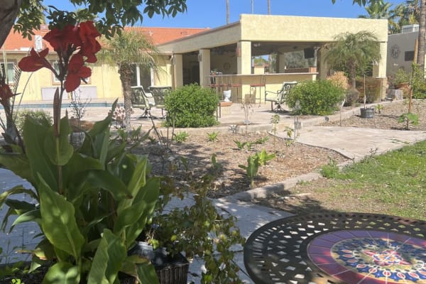 House sit in Glendale, AZ, US