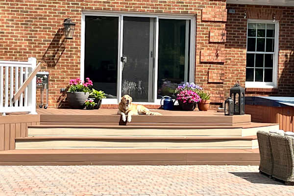 House sit in Virginia Beach, VA, US