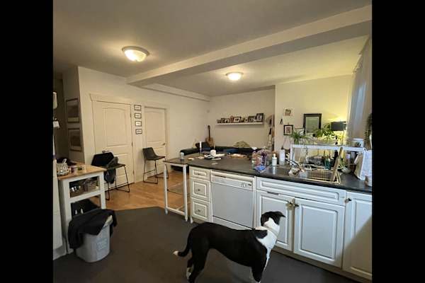 House sit in North Vancouver, BC, Canada
