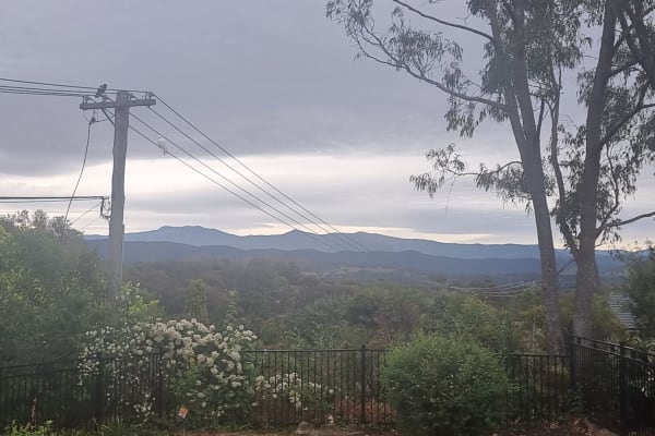 House sit in Canberra, Australian Capital Territory, Australia