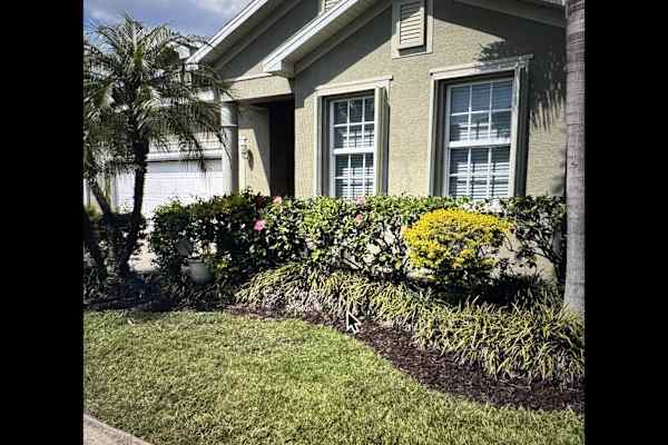 House sit in Port Charlotte, FL, US