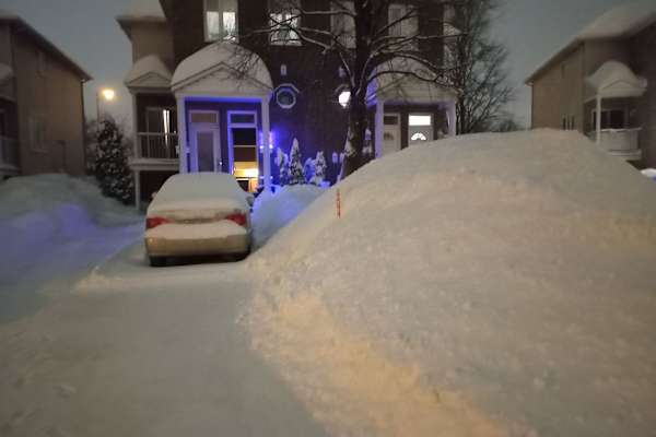 House sit in Ottawa, ON, Canada