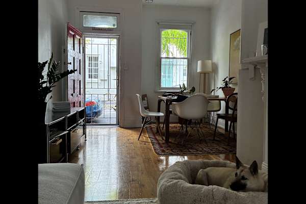 House sit in Sydney, NSW, Australia