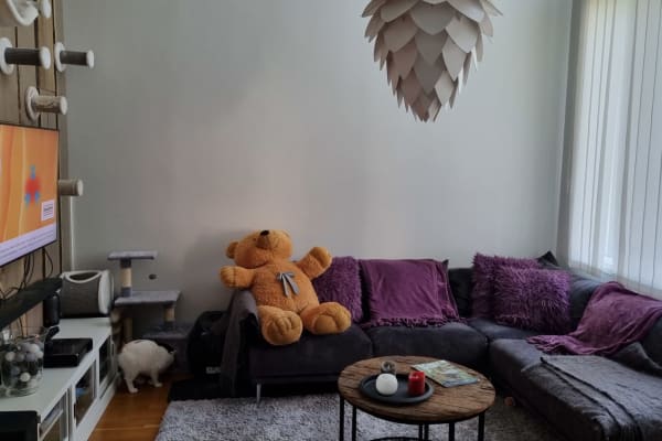 House sit in Rovaniemi, Finland