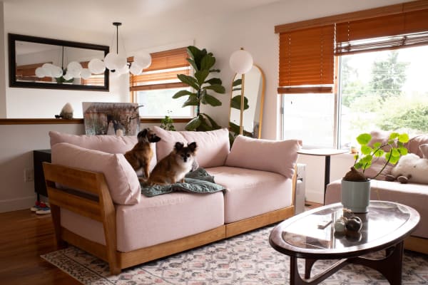 House sit in Burien, WA, US