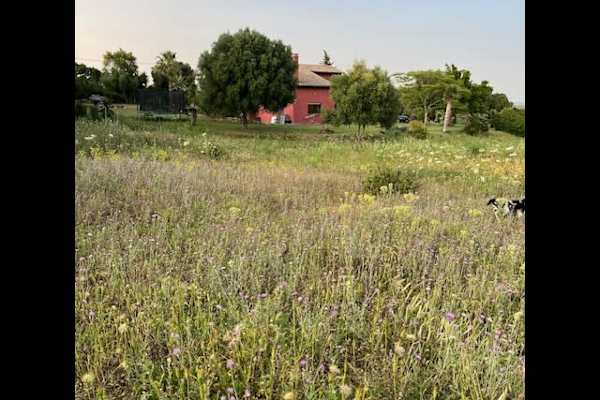 House sit in Vejer de la Frontera, Spain