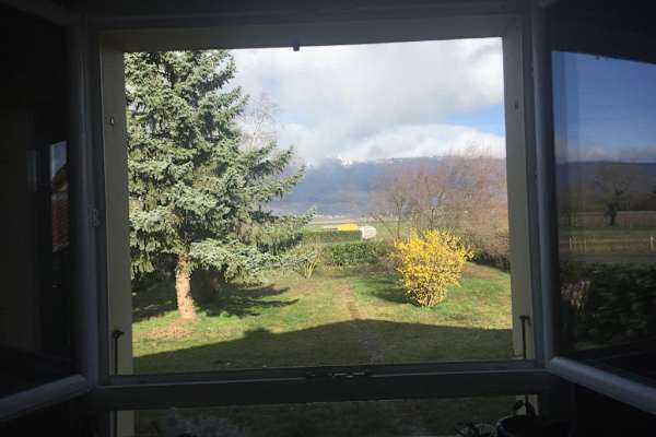 House sit in Genève, Switzerland