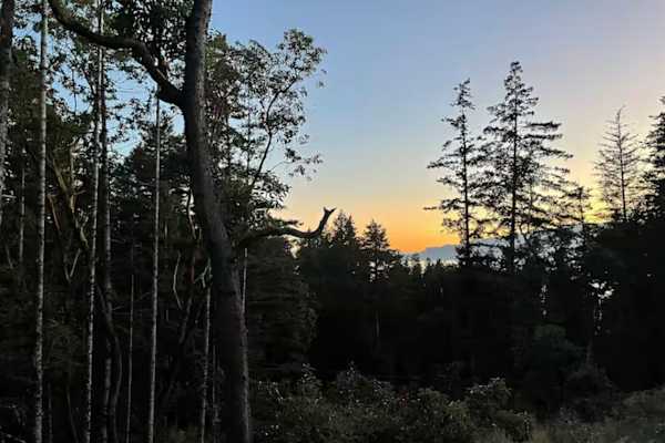 House sit in Halfmoon Bay, BC, Canada