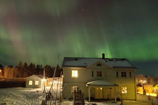 House sit in Östersund, Sweden