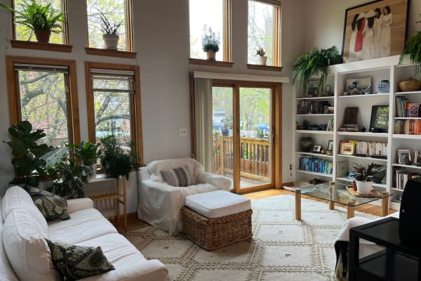 House sit in Cambridge, MA, US