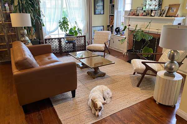 House sit in Los Angeles, CA, US