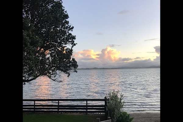 House sit in Whangarei, New Zealand