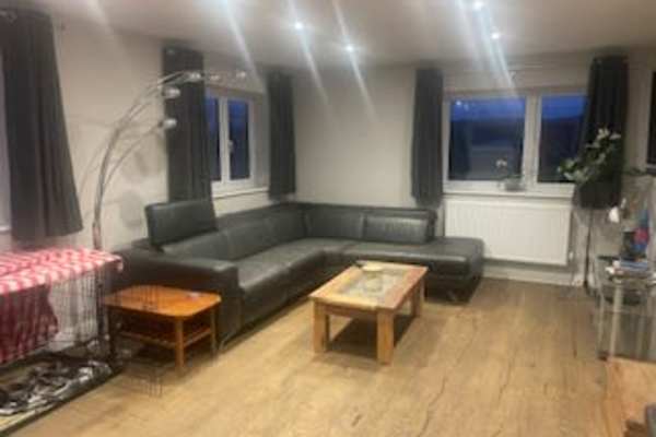 House sit in Wye, United Kingdom
