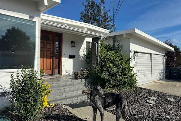 House sit in Santa Rosa, CA, US