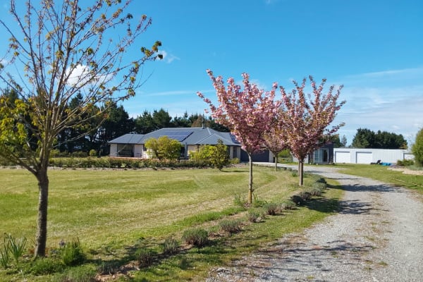 House sit in Rangiora, New Zealand