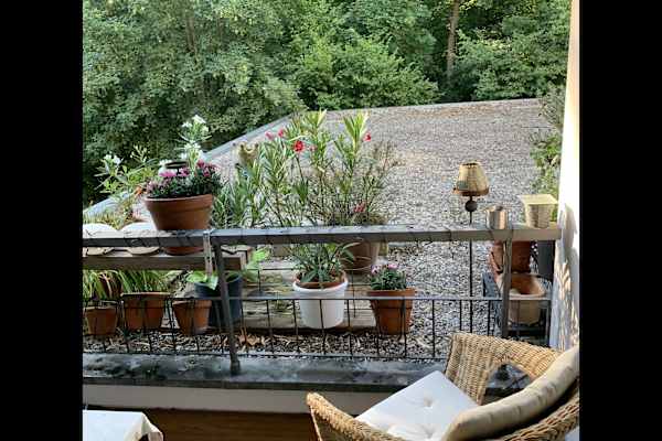 House sit in Zürich, Switzerland