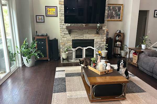 House sit in Durham, NC, US