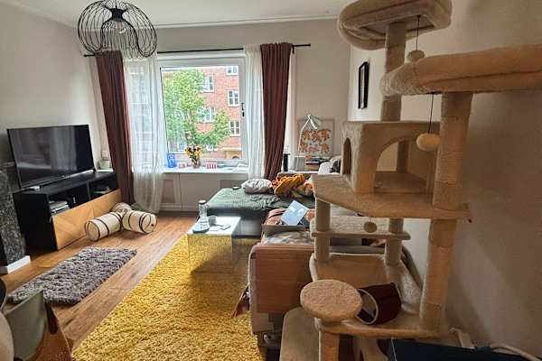 House sit in Amsterdam, Netherlands