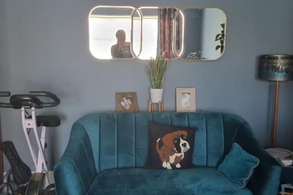 House sit in Bristol, United Kingdom