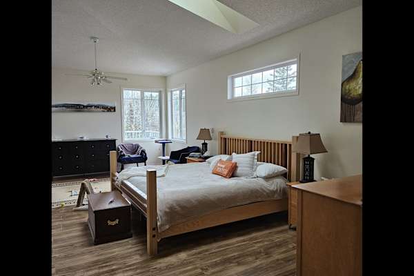 House sit in Bragg Creek, AB, Canada