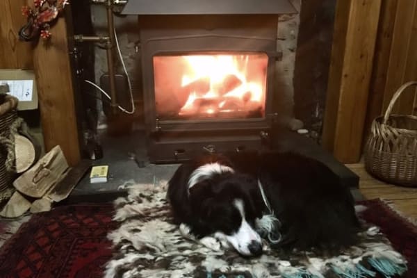 House sit in Inverness, United Kingdom