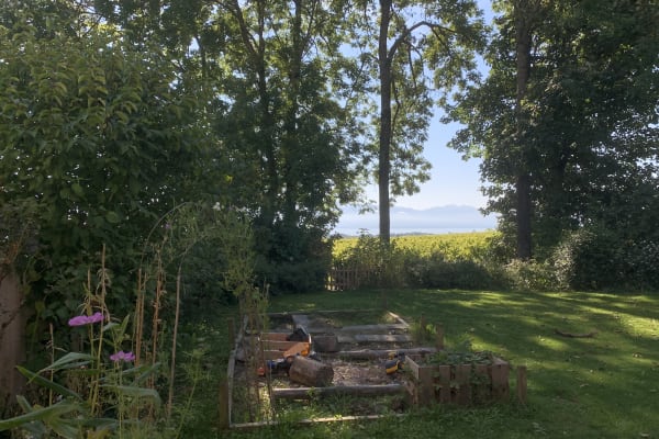 House sit in Morges, Switzerland