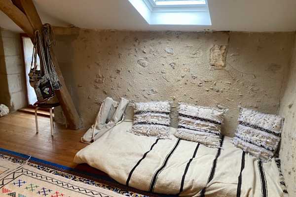 House sit in Bonneuil-Matours, France