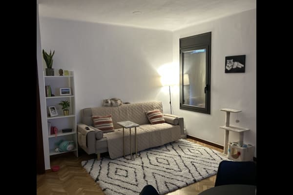 House sit in Barcelona, Spain