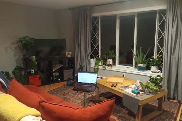 House sit in Halifax, NS, Canada