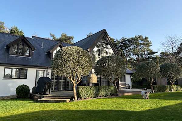 House sit in Ringwood, United Kingdom