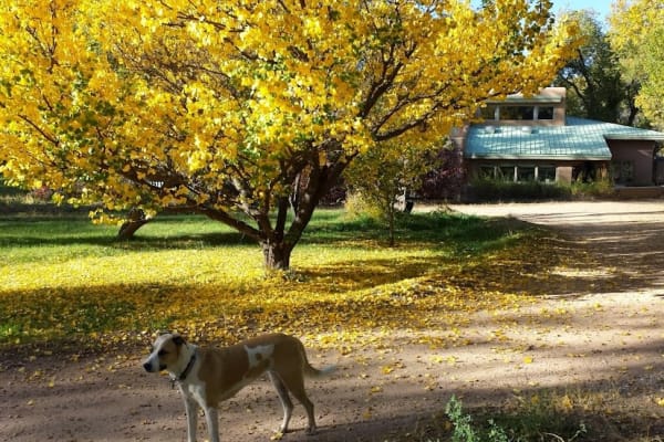 House sit in Española, NM, US