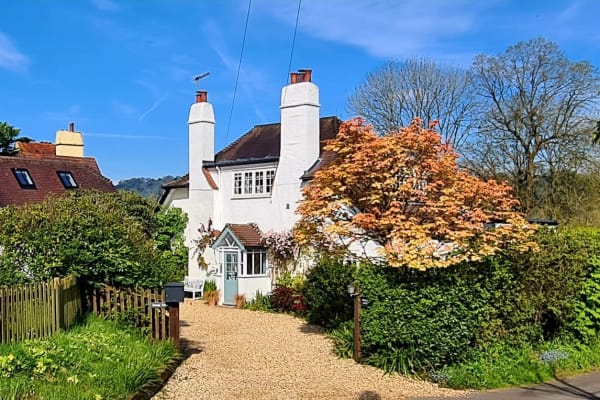 House sit in Reigate, United Kingdom