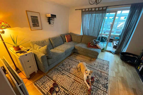 House sit in Portslade, United Kingdom