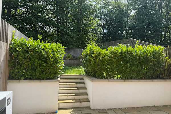 House sit in Sevenoaks, United Kingdom