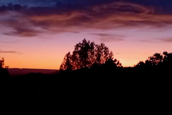 House sit in Barxeta, Spain