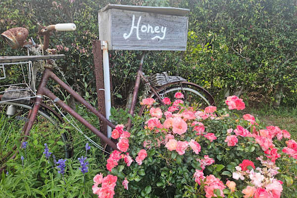 House sit in Piggabeen, NSW, Australia