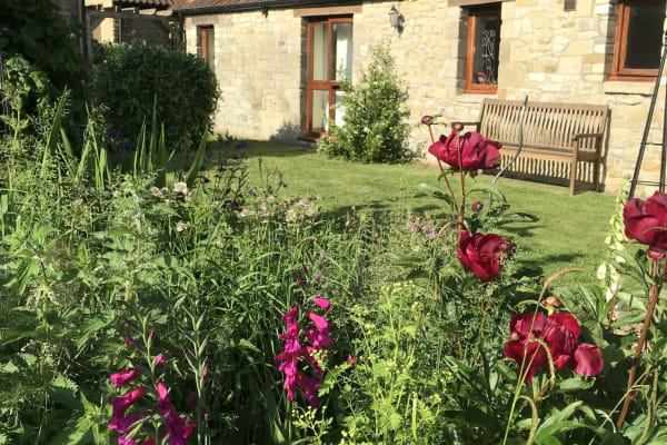 House sit in Shepton Mallet, United Kingdom
