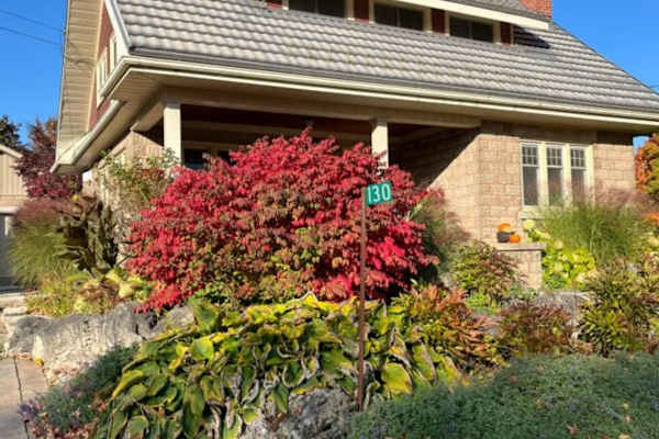 House sit in Clarksburg, ON, Canada