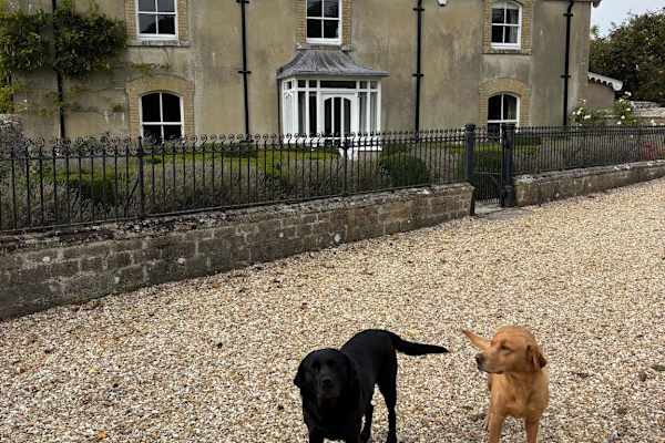 House sit in Sherborne, United Kingdom