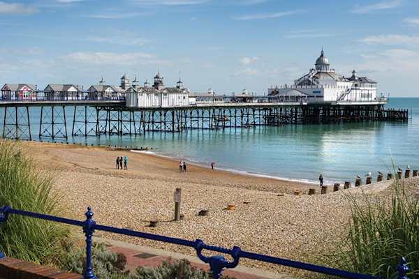 House sit in Eastbourne, United Kingdom