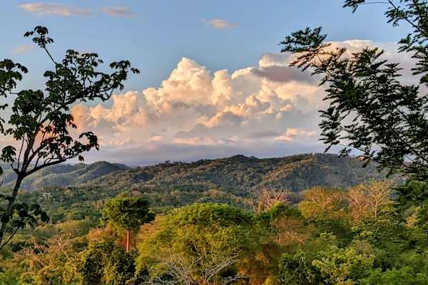 House sit in Nosara, Costa Rica