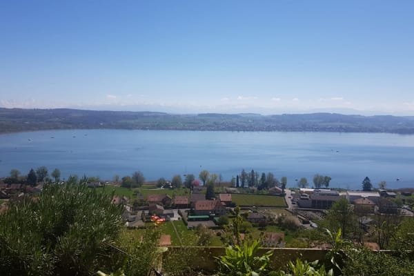 House sit in Murten/Morat, Switzerland