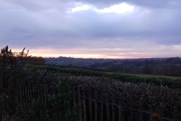 House sit in Heathfield, United Kingdom